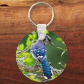 Nature Fotografy Shy Blue Jay Apparel Geschenke Schlüsselanhänger (Vorderseite)