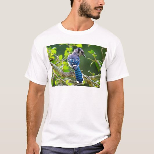 Nature Fotografy Shy Blue Jay Apparel Geschenke T-Shirt (Vorderseite)
