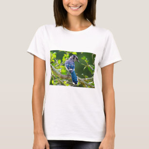 Nature Fotografy Shy Blue Jay Apparel Geschenke T-Shirt