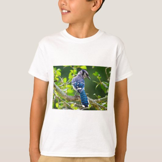 Nature Fotografy Shy Blue Jay Apparel Geschenke T-Shirt (Vorderseite)