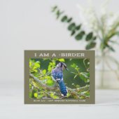 Nature Fotografy Shy Blue Jay Vogelbeobachter Card Postkarte (Stehend Vorderseite)