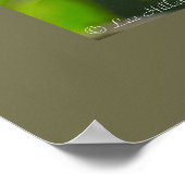 Nature Fotografy Shy Blue Jay Vogelbeobachter Poster (Ecke)