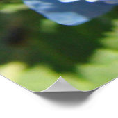 Nature Heals Art Drucke Blue Hydrangea Blume (Ecke)