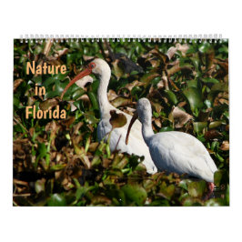 Nature in Florida Kalender