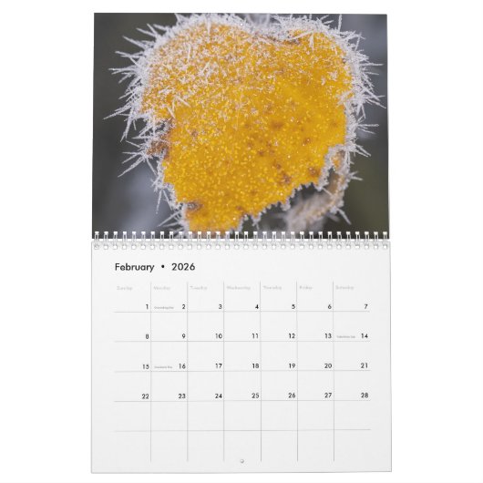Nature inspired 2026 calendar kalender (Feb 2026)