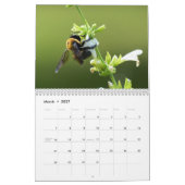 Nature Journey Calendar Kalender (Mär 2027)