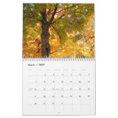 Nature Journey Kalender 10.000 Blätter des Herbste (Mär 2027)