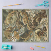 Nature Lizard Ernst Haeckel Decoupage Seidenpapier (Basteln)