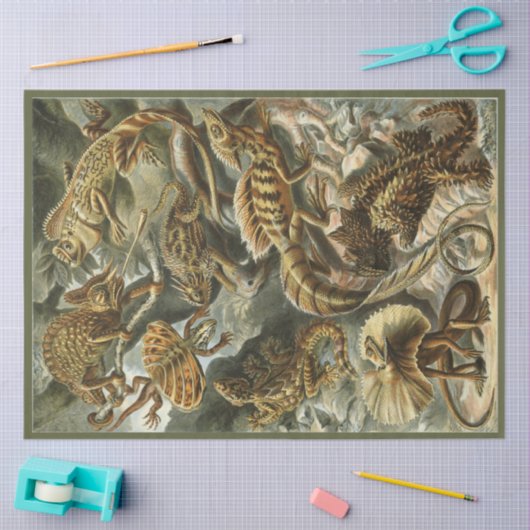 Nature Lizard Ernst Haeckel Decoupage Seidenpapier (Basteln)