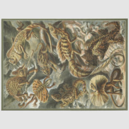 Nature Lizard Ernst Haeckel Decoupage Seidenpapier
