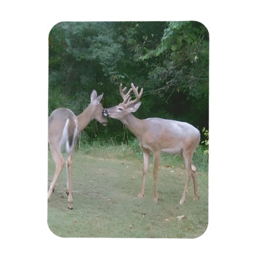 Nature Lover Magnet (Vertikal)