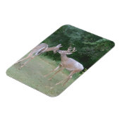 Nature Lover Magnet (Linke Seite)