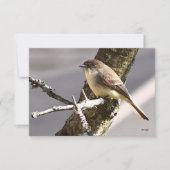 Nature Mitteilungskarten Vogelkarten (Vorderseite)