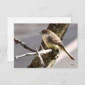 Nature Mitteilungskarten Vogelkarten (Vorne/Hinten)