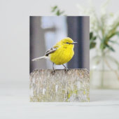 Nature Mitteilungskarten Vogelkarten (Stehend Vorderseite)