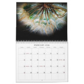 Nature Moments by Meggidoo Calendar 2026 Kalender (Feb 2026)