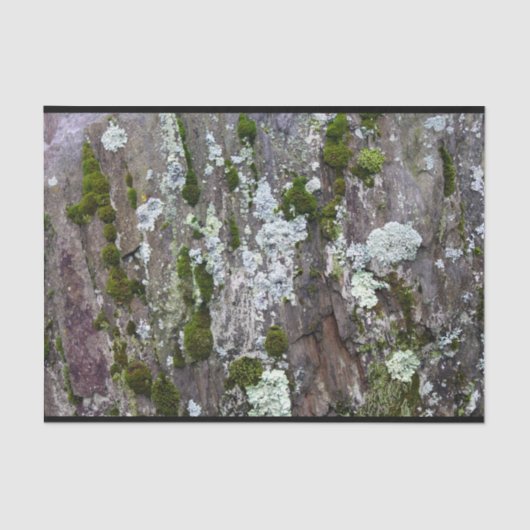 Nature Moss Lichen Camouflage Foto Seidenpapier (Vorderseite)