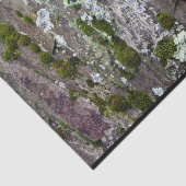 Nature Moss Lichen Camouflage Foto Seidenpapier (Ausschnitt)