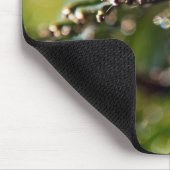 Nature Mouse Pad mit Maco Cedar Ast Foto Mousepad (Ecke)