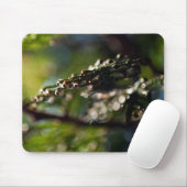 Nature Mouse Pad mit Maco Cedar Ast Foto Mousepad (Mit Mouse)