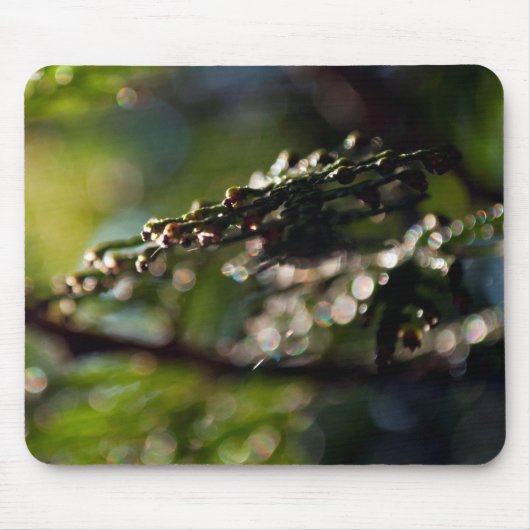 Nature Mouse Pad mit Maco Cedar Ast Foto Mousepad (Vorne)