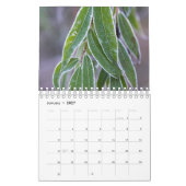 Nature Photography Calendar Kalender (Jan 2027)