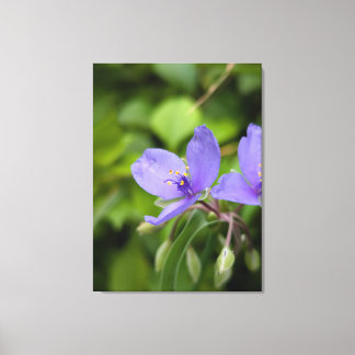 Nature Photography Canvas Print Leinwanddruck