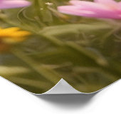 *~* Nature Pink Blume Kitty 5:4 Kätzchen AP68 Poster (Ecke)