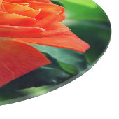 Nature Pink Rose Blume-46458 Schneidebrett (Ecke)