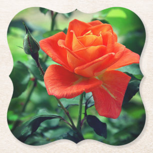 Nature Pink Rose Blume-46458 Untersetzer
