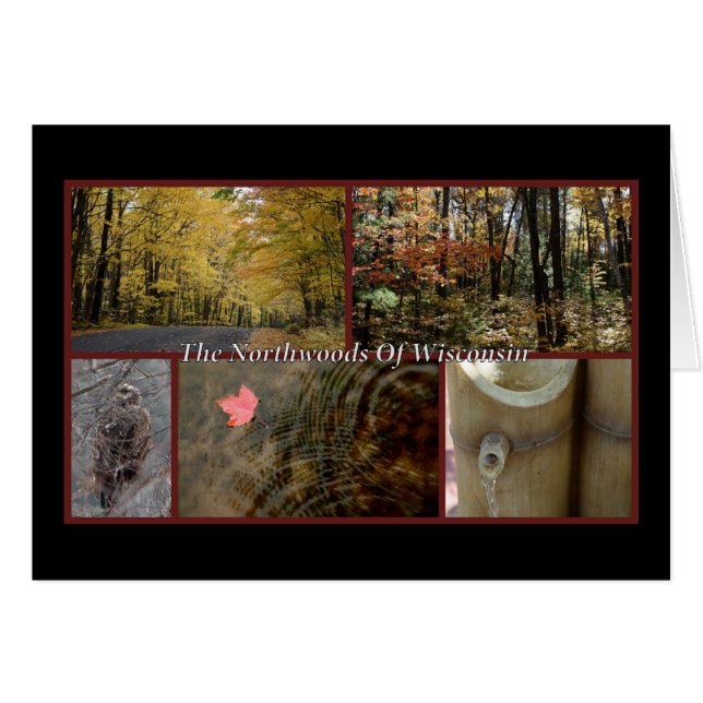 Nature Postcard Northwood Wisconsin Saison (Vorderseite (Horizontal))