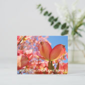 Nature Postcards Custom Dobwood Tree Blume Postkarte (Stehend Vorderseite)