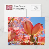 Nature Postcards Custom Dobwood Tree Blume Postkarte (Vorne/Hinten)