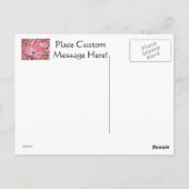 Nature Postcards Custom Dobwood Tree Blume Postkarte (Rückseite)