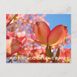 Nature Postcards Custom Dobwood Tree Blume Postkarte