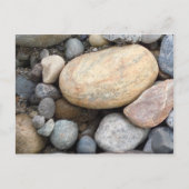 Nature Postcards Postkarte (Vorderseite)