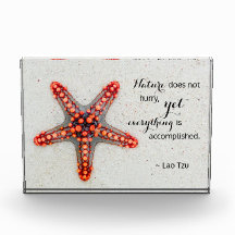 Nature Print Starfish mit Lao Tzu Quote