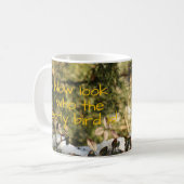 Nature Red Breasted Robin Foto Early Bird Kaffeetasse (Vorderseite Links)