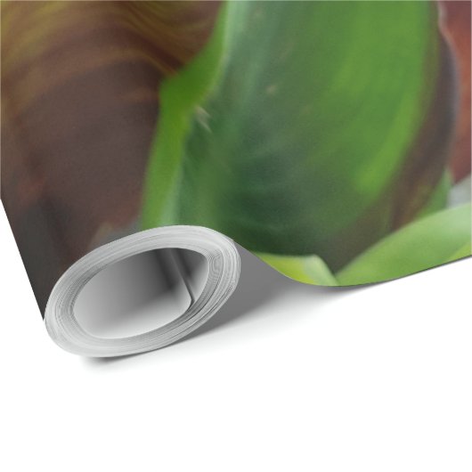 Nature Red Flower Floral Fotograf Geschenkpapier (Rolleneckpunkt)