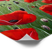 Nature Red Poppies Poster (Ecke)