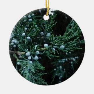Nature Ripening Juniper Berries Keramik Ornament