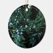 Nature Ripening Juniper Berries Keramik Ornament (Links)
