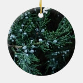 Nature Ripening Juniper Berries Keramik Ornament (Hinten)