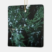Nature Ripening Juniper Berries Keramikornament (Links)