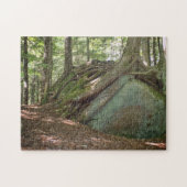 Nature’s Resilience Tree on Boulder Photographic Puzzle (Horizontal)