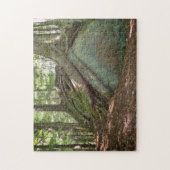 Nature’s Resilience Tree on Boulder Photographic Puzzle (Vertikal)