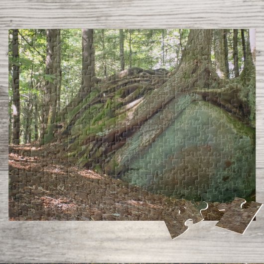 Nature’s Resilience Tree on Boulder Photographic Puzzle