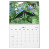 Nature Scenes 2015 Calendar Kalender (Mär 2026)