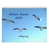 Nature Scenes 2015 Calendar Kalender (Titelbild)
