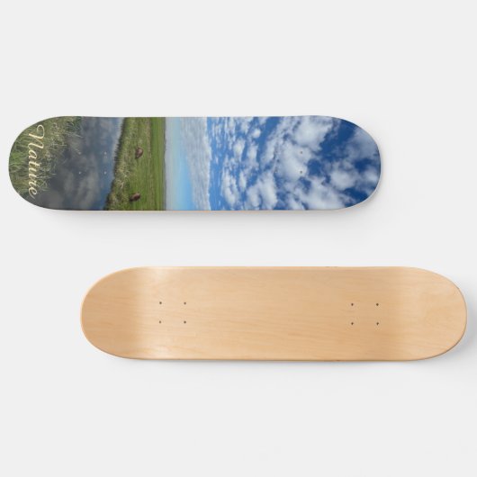 Nature sky skateboard (Horizontal)